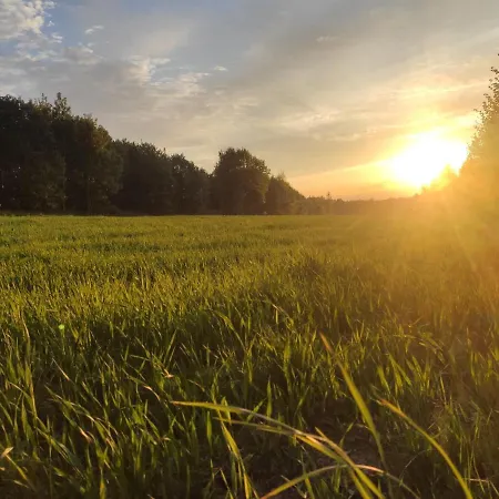Gorska Ostoja Pole Kempingowo- Kamperowe Camping Leśna
