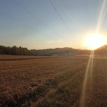 Gorska Ostoja Pole Kempingowo- Kamperowe Leśna